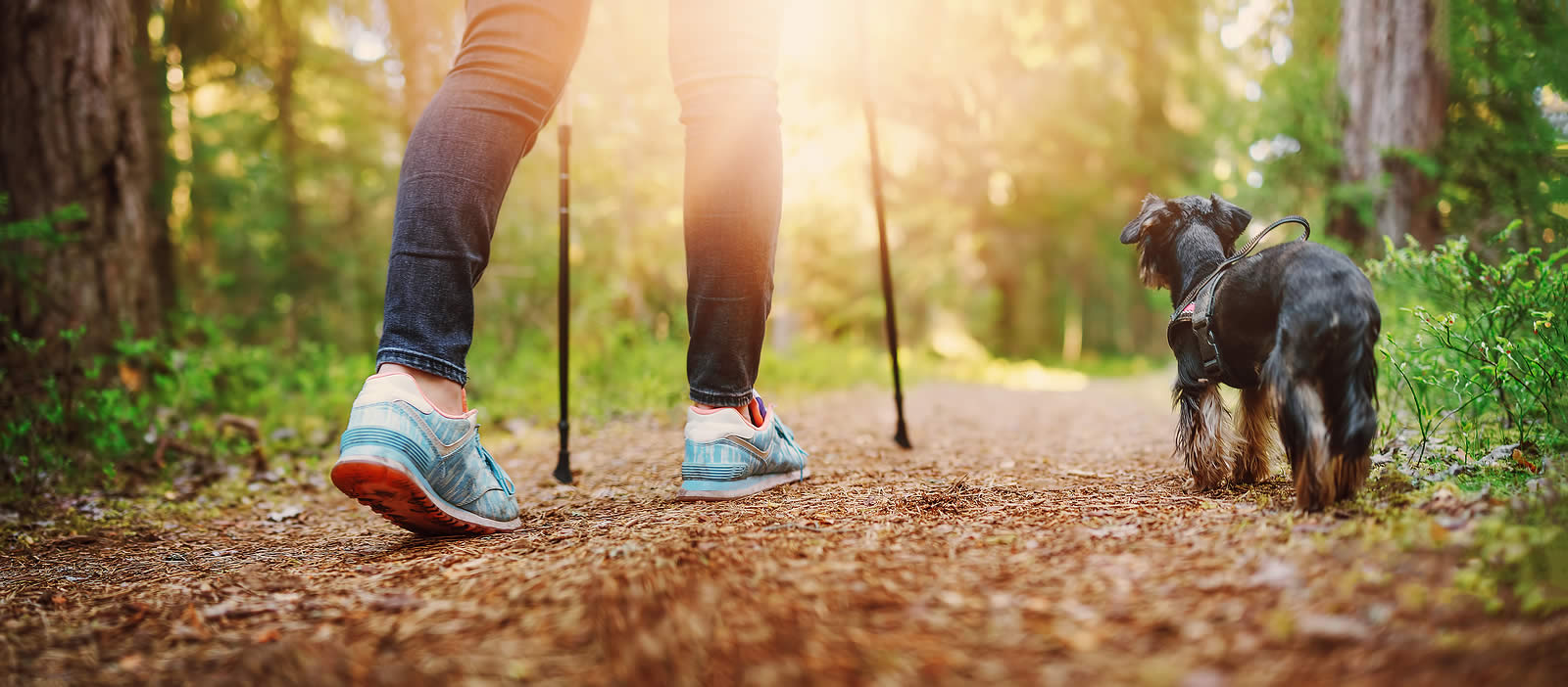 Benefits of Becoming a Podiatrist